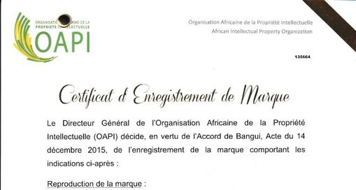 Propriété intellectuelle